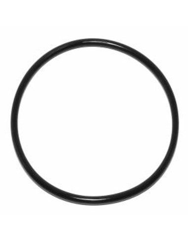 O-ring per filtro F76S/HS10S, da 1 1/2 a 2 pollici Resideo Braukmann - 2442700