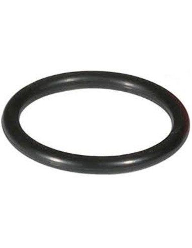 O-ring sulla cartuccia filtrante - F76S-F, da DN 100 a DN 125 Resideo Braukmann - 5047500